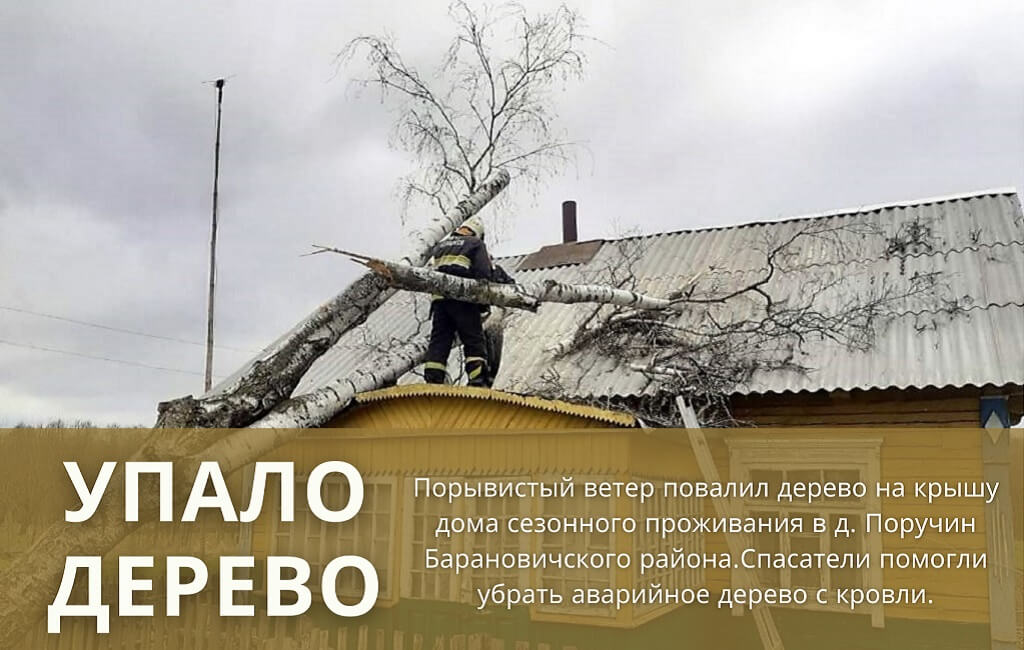 Упало дерево на крышу д. Поручин Барановичский район
